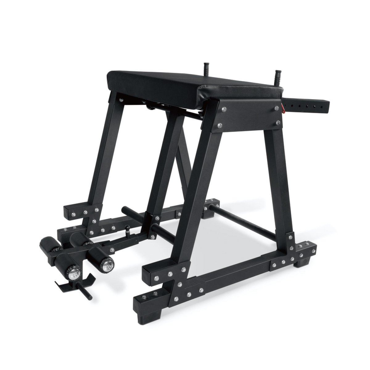 AT-RHR(臀部训练)